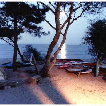 Апартаменти Domaine De L'Avidanella Санта-Лучія-ді-Моріані Екстер'єр фото