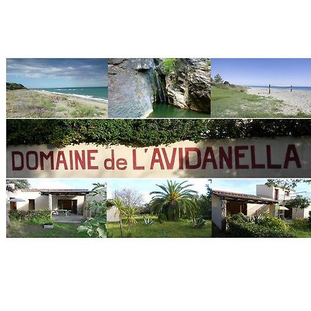 Апартаменти Domaine De L'Avidanella Санта-Лучія-ді-Моріані Екстер'єр фото