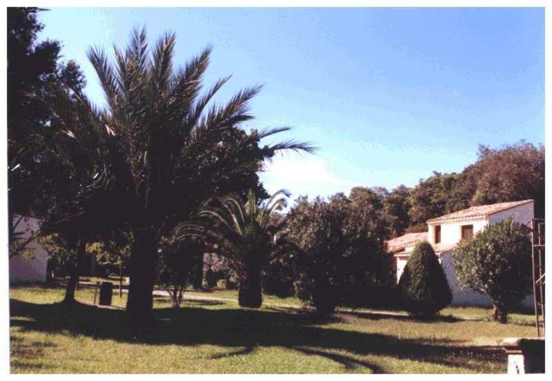 Апартаменти Domaine De L'Avidanella Санта-Лучія-ді-Моріані Екстер'єр фото