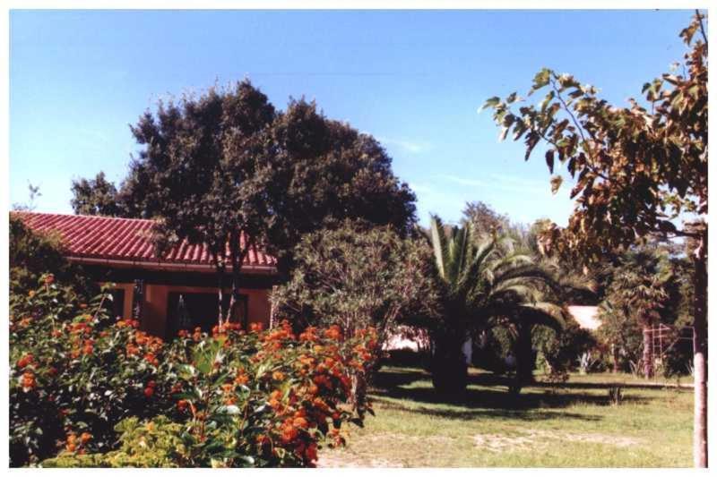 Апартаменти Domaine De L'Avidanella Санта-Лучія-ді-Моріані Екстер'єр фото